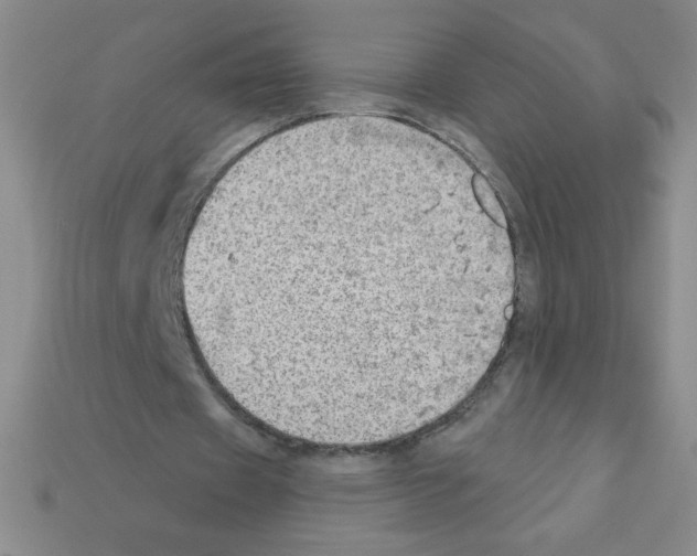 X0000111940433200909071303