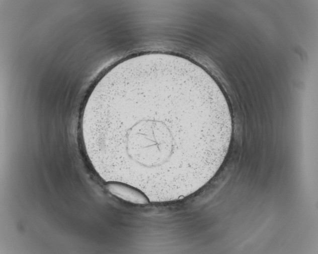 X0000111940434200909071303