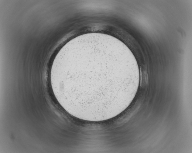 X0000111940435200909071303