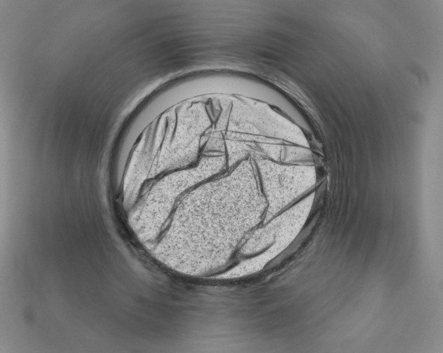 X0000111940436200909071303