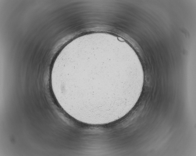 X0000111940437200909071303