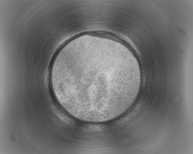 X0000111940439200909071303