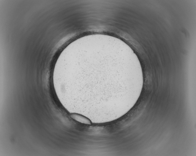 X0000111940440200909071303
