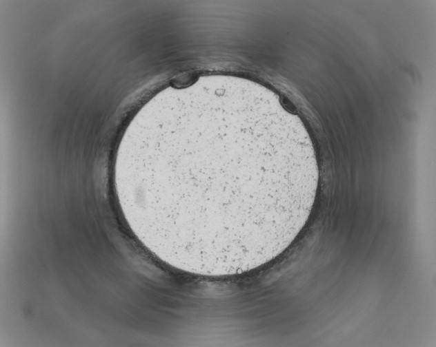 X0000111940442200909071303
