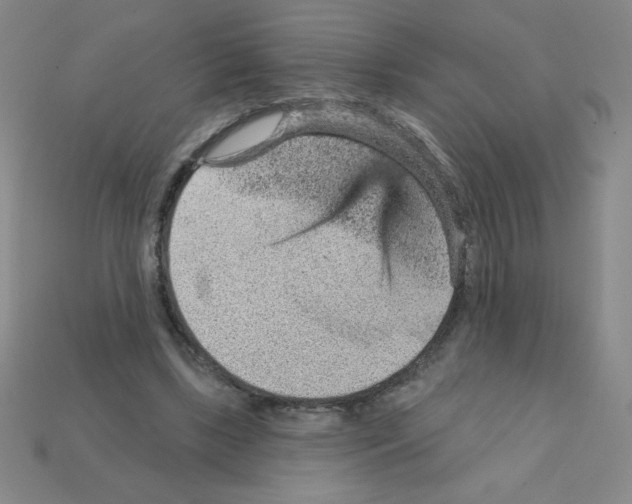 X0000111940443200909071303