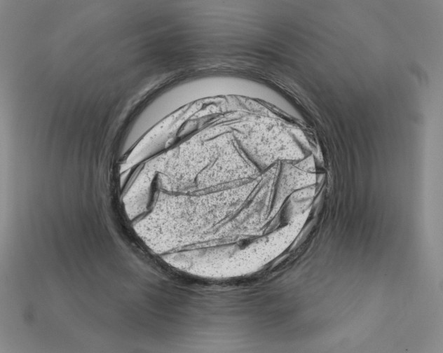 X0000111940444200909071303