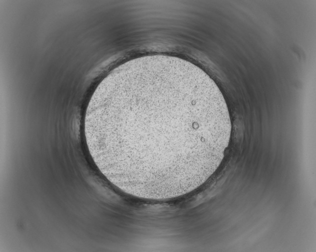 X0000111940446200909071303