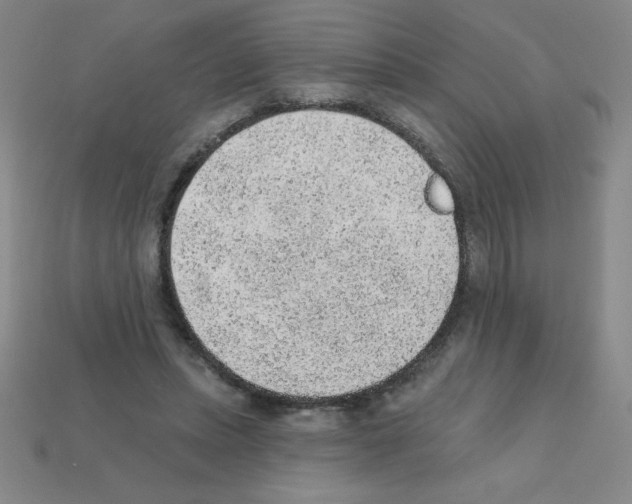 X0000111940447200909071303