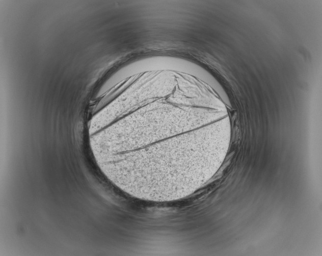 X0000111940448200909071303