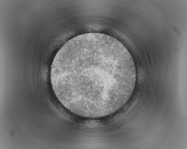 X0000111940451200909071303