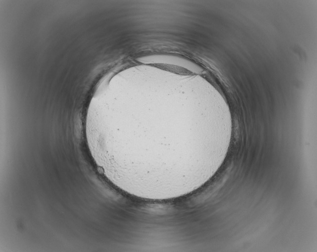 X0000111940453200909071303