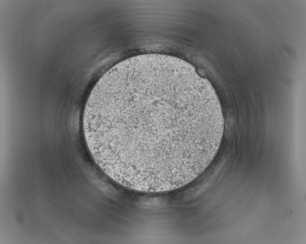 X0000111940454200909071303
