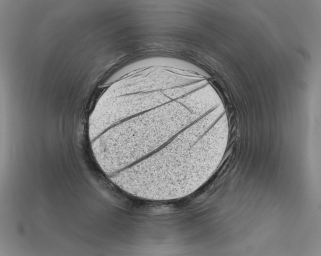 X0000111940456200909071303