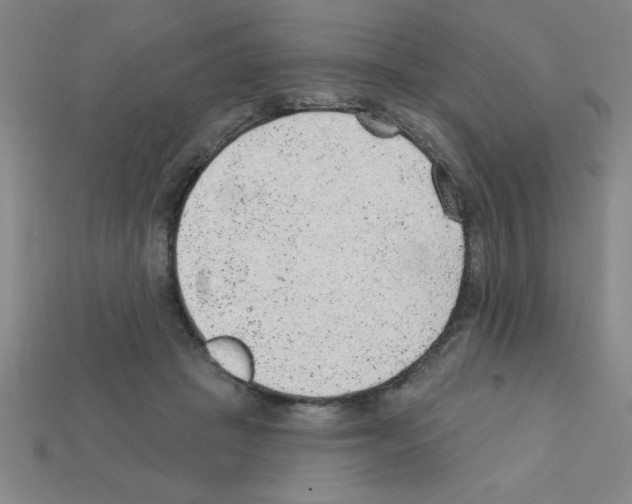 X0000111940457200909071303