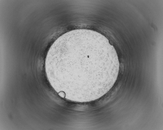 X0000111940458200909071303