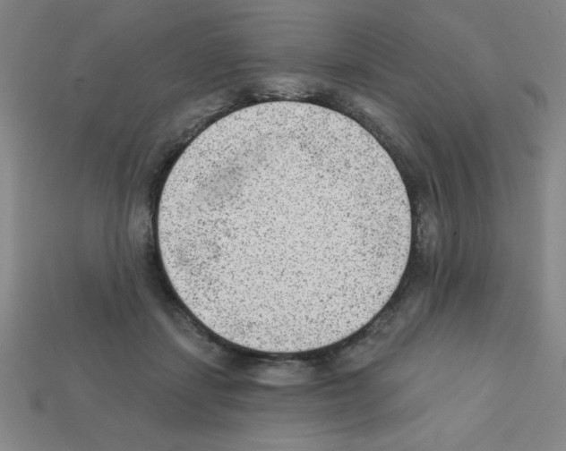 X0000111940459200909071303