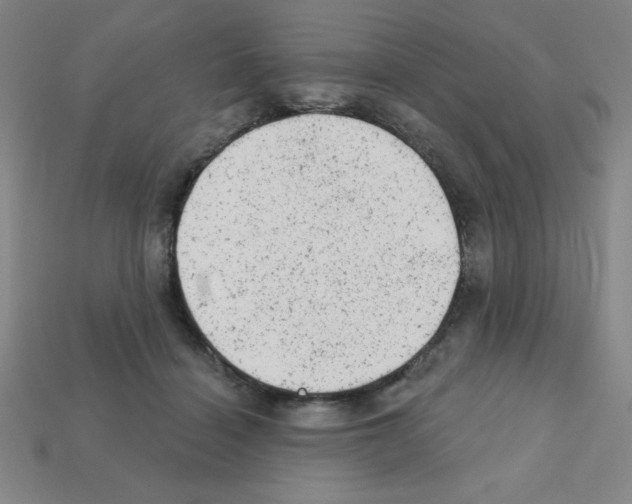 X0000111940460200909071303