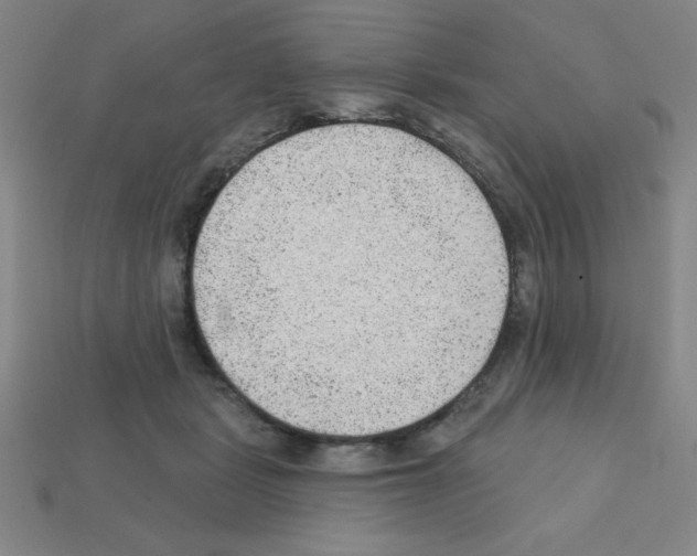 X0000111940461200909071303