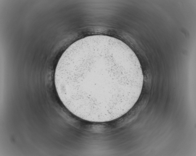 X0000111940462200909071303