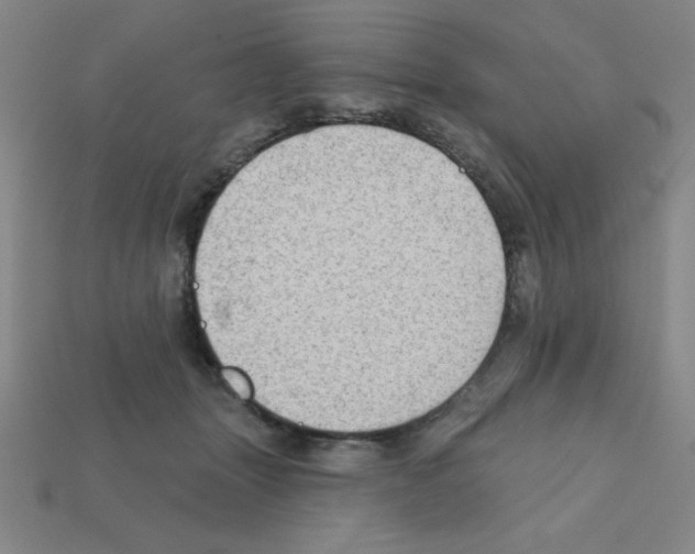 X0000111940463200909071303