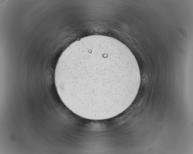 X0000111940464200909071303