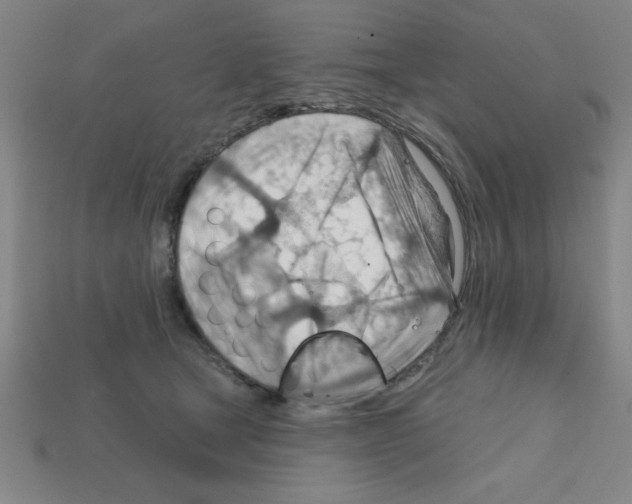 X0000111940465200909071303