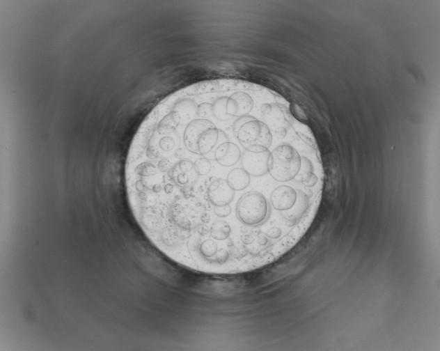 X0000111940466200909071303