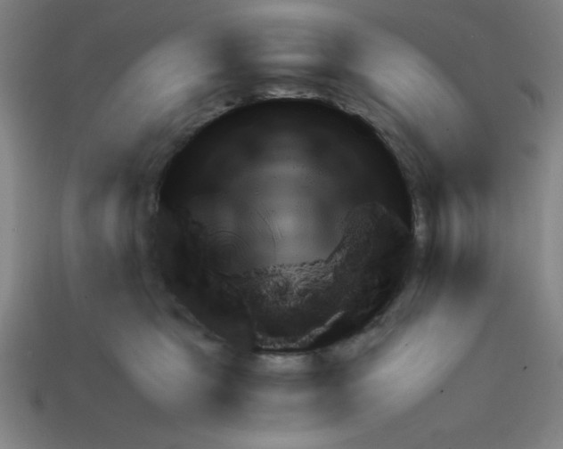 X0000111940469200909071303