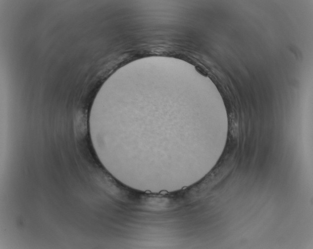 X0000111940471200909071303
