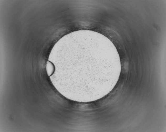 X0000111940472200909071303