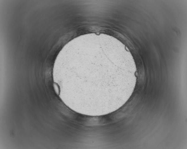 X0000111940473200909071303