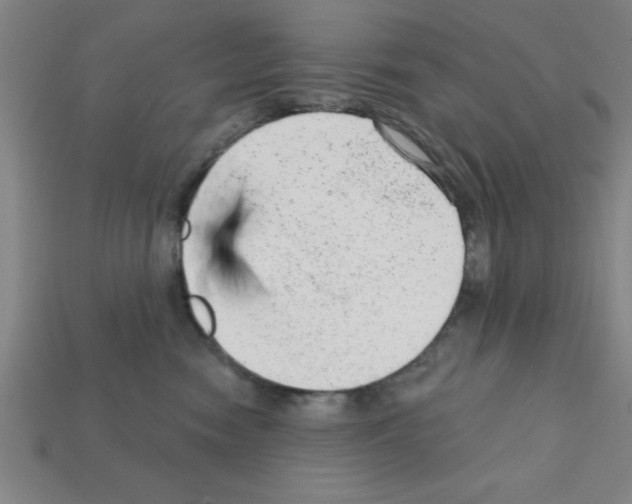 X0000111940474200909071303