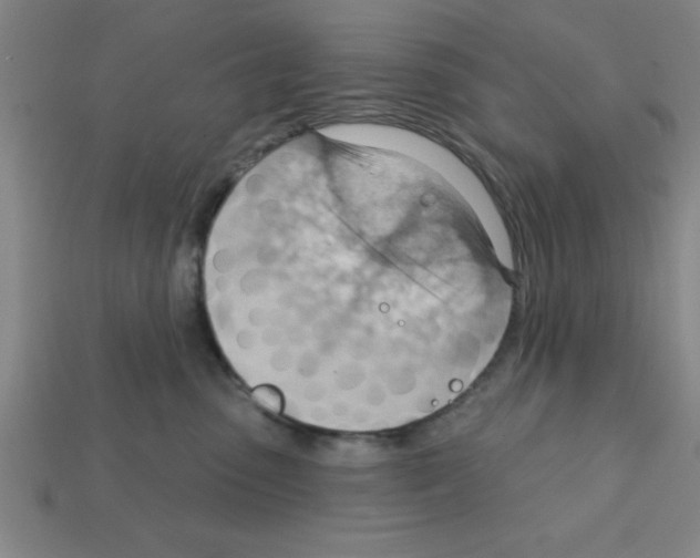 X0000111940475200909071303
