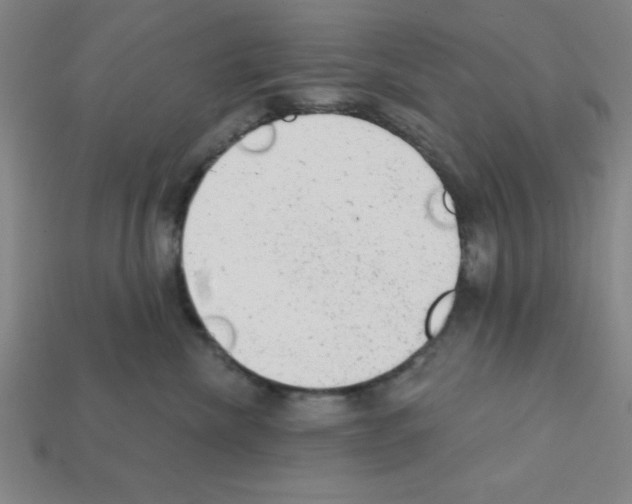 X0000111940476200909071303