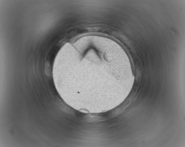 X0000111940477200909071303