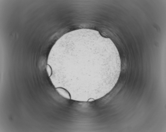 X0000111940478200909071303