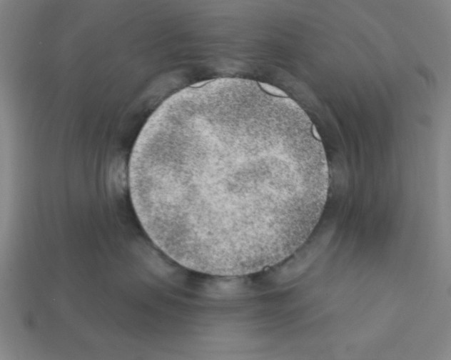 X0000111940479200909071303