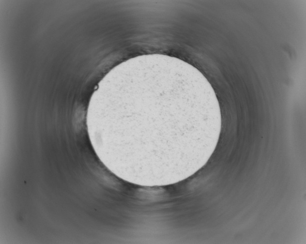 X0000111940480200909071303