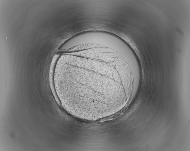 X0000111940481200909071303