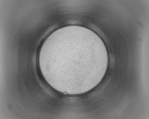 X0000111940482200909071303