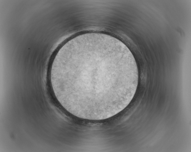 X0000111940484200909071303