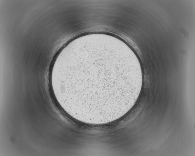 X0000111940485200909071303
