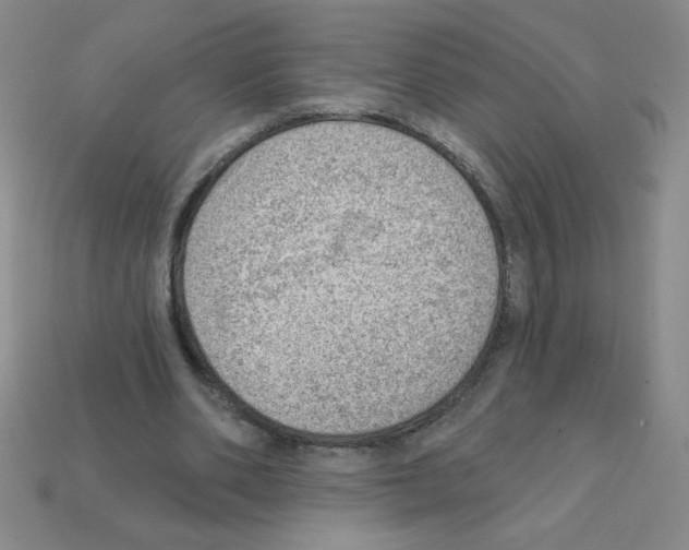 X0000111940486200909071303
