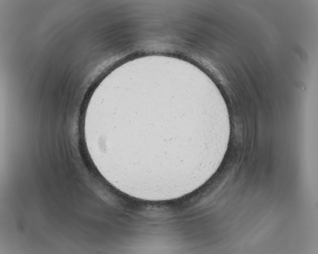 X0000111940487200909071303