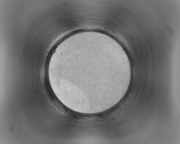 X0000111940488200909071302