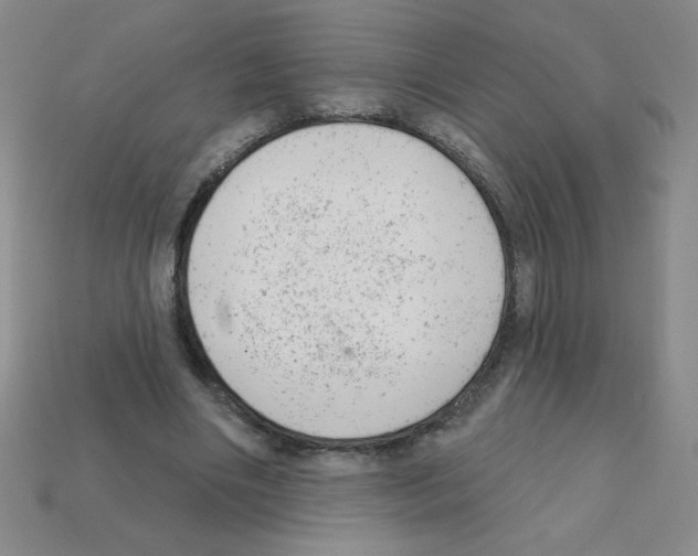 X0000111940490200909071302