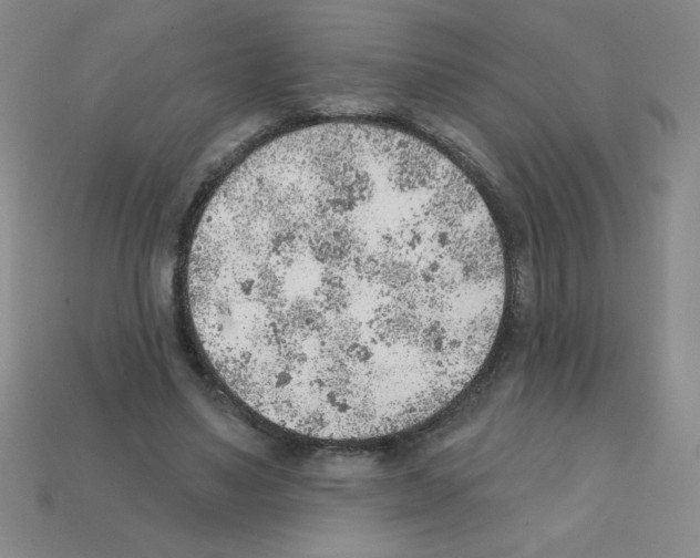 X0000111940491200909071302