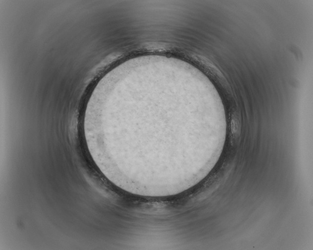 X0000111940492200909071302