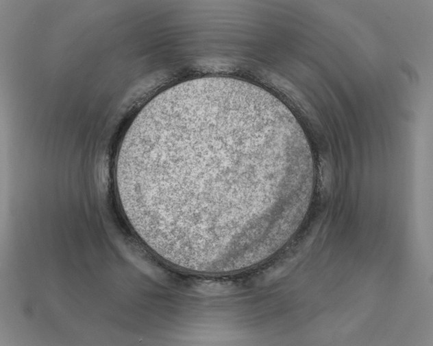 X0000111940494200909071302