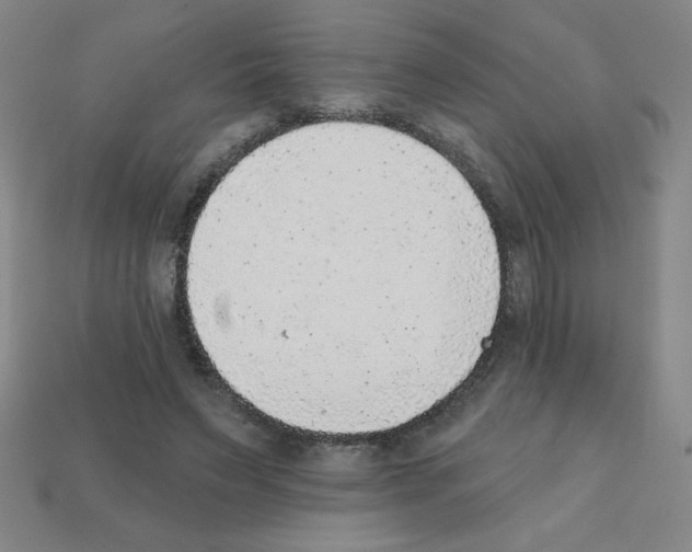 X0000111940495200909071302